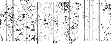 Saybrook Productions